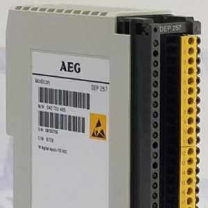 Schneider AS-BDEP-257 MODICON INPUT MODULE